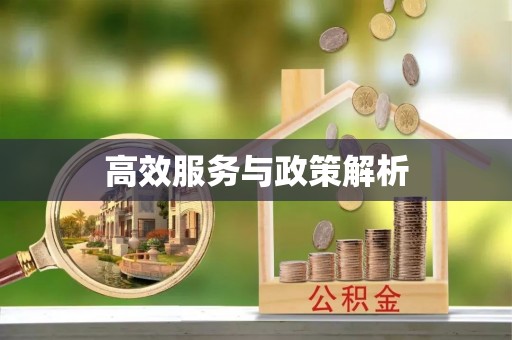 泗礁高效服务与政策解析