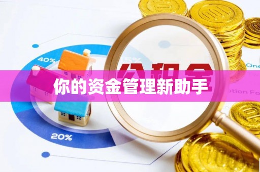 泗礁你的资金管理新助手