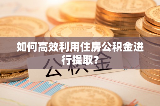 泗礁如何高效利用住房公积金进行提取？