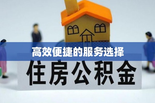 泗礁高效便捷的服务选择